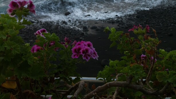 A coastal view with waves crashing onto a dark beach, a building with a red roof on a cliff, and a lighthouse in the distance. - We look forward to you! (La Vega)