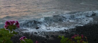 We look forward to you!