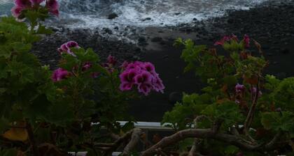 Odotamme innolla sinua!