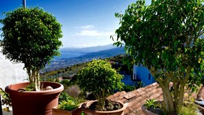 Potted trees on a terrace with a view of a valley and distant mountains. - We look forward to you! (La Vega)