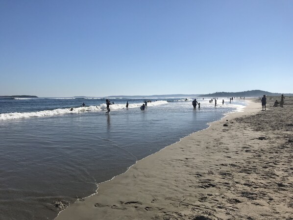 海滩