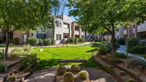 A courtyard with a grassy lawn, a bench, and cacti.
