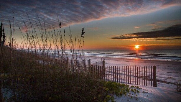 A beach scene with a wooden fence and tall grasses in the foreground.