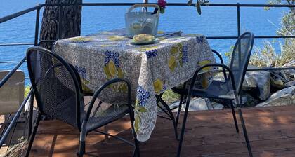 HOUSE IN THE PRESSES OF PORTOFINO, WONDERFUL VIEW,