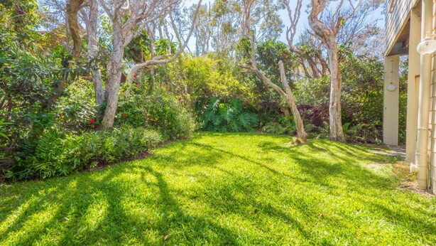 A well-maintained garden with a variety of trees and shrubs, a neatly trimmed lawn, and a building with a light-colored exterior. - Ngungun Street 10, Dicky Beach (DICKY BEACH)