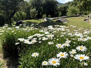 Property grounds - More Nou, rural house, swimming pool and spectacular views.  (ALBIOL)
