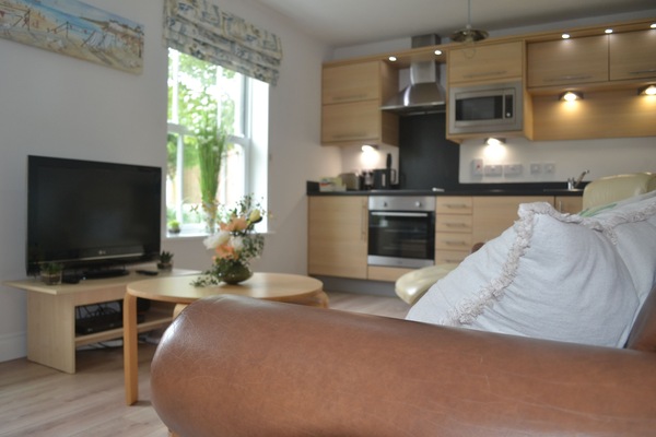 TV connectée, lecteur de DVD, table de tennis de table