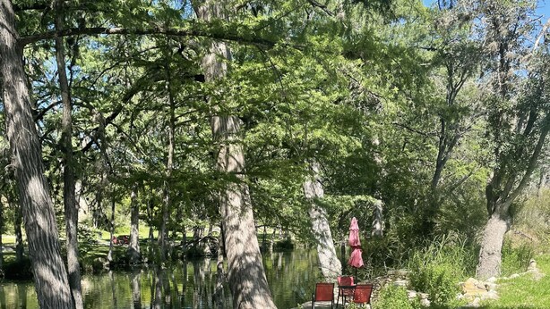 En lugn strandpromenad med trappsteg av sten, omgiven av frodig grönska och träd.