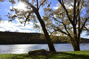 A lakeside view with trees and a clear sky.