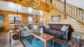 Télévision, cheminée, lecteur de DVD, livres