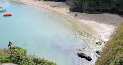 1 Schlafzimmer Unterkunft in Newquay