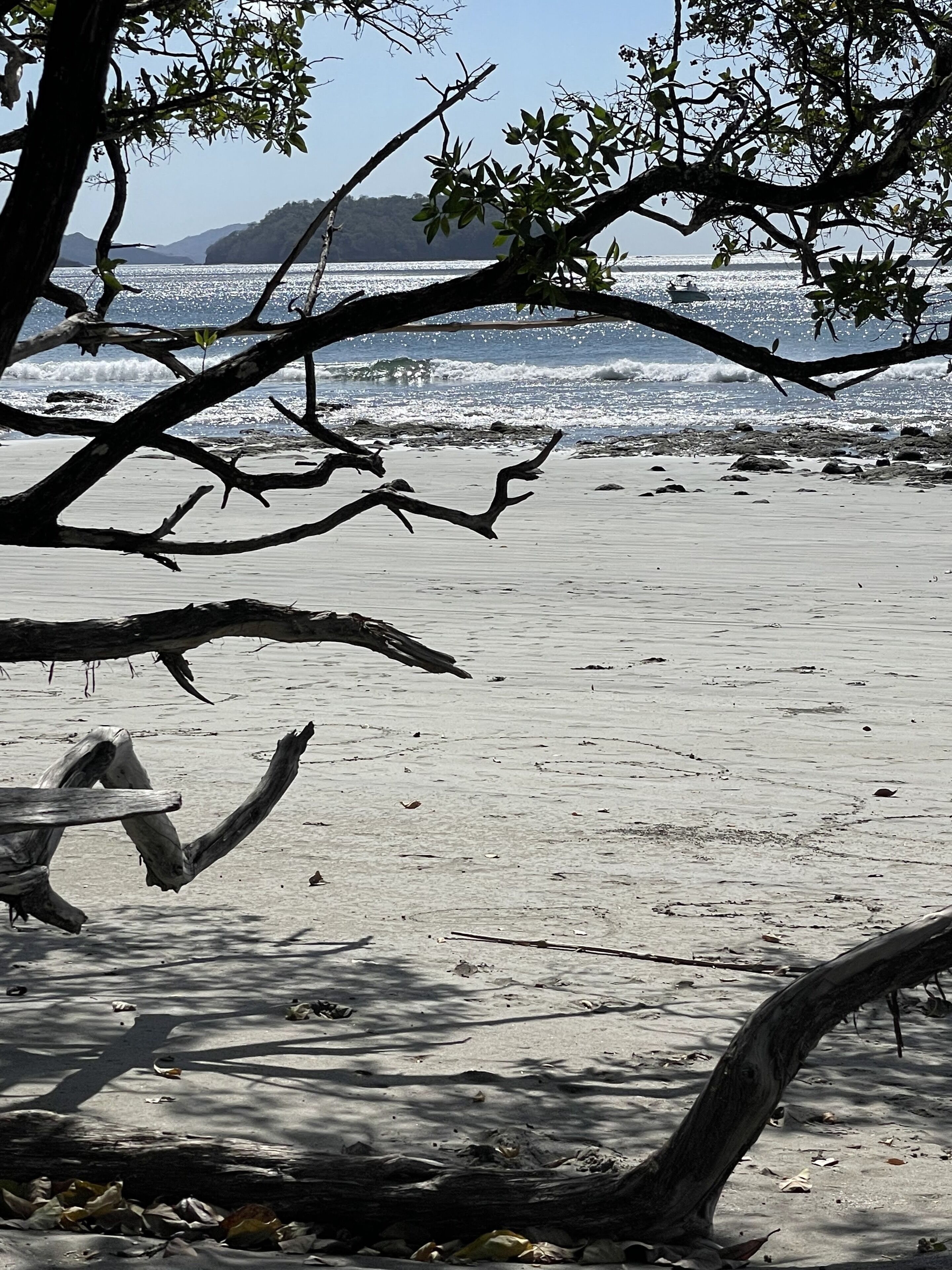 Beach nearby, sun loungers, beach towels