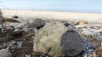 Una spiaggia nelle vicinanze, lettini da mare