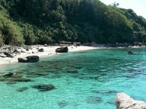 Beach nearby - B&B in the countryside 400m from the sea (Parghelia)