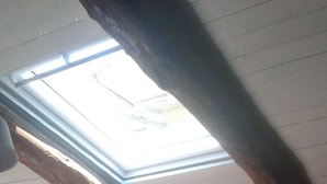 A room with a sloped ceiling, wooden beams, a skylight, a door with a window, and a wall with framed pictures. - Oasis in ROME NORTH (Roma)