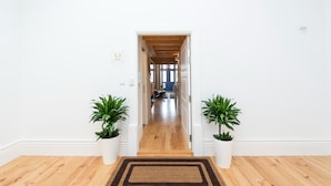 A hallway with wooden flooring, white walls, and a brown rug leading to a door. There are two potted plants on either side of the rug. - Oporto Golden Apartment - your luxury choice in the Heart of Porto (Porto)