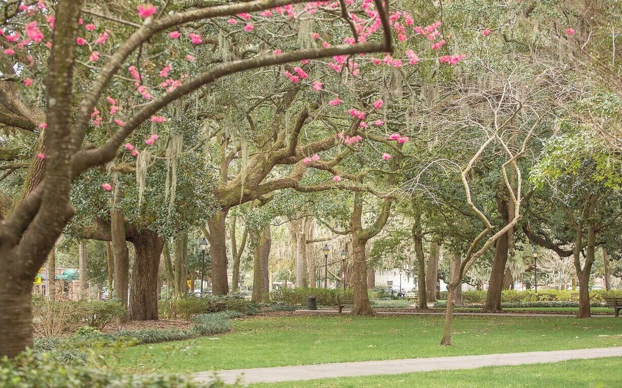 Um parque com árvores já crescidas e gramado bem cuidado.