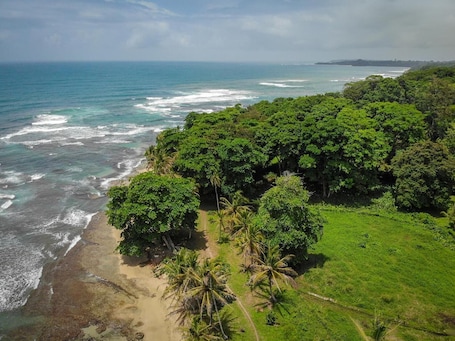 Beach. La Tica y la Gata