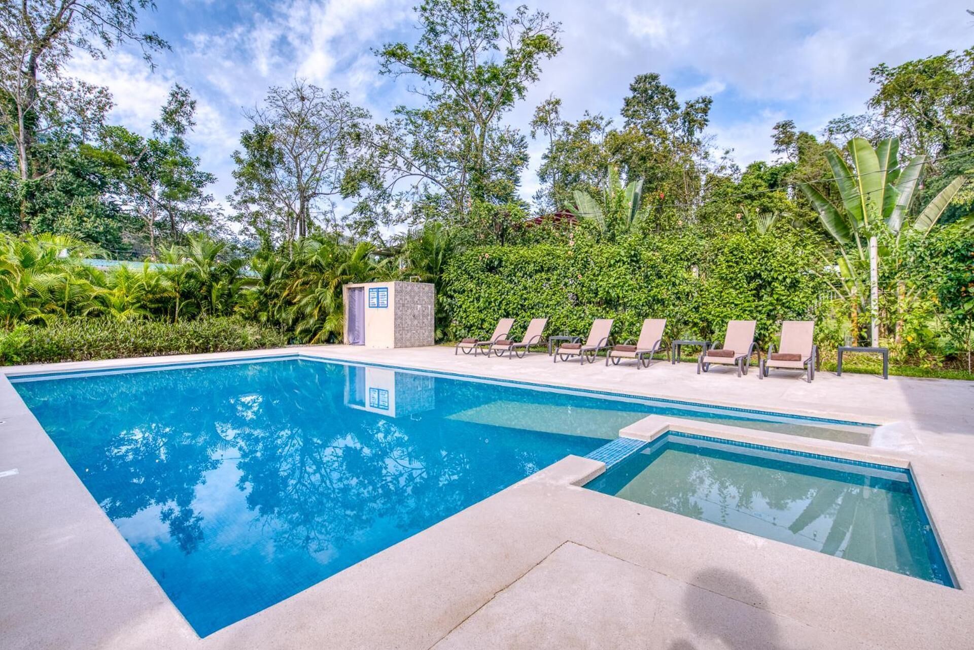 Outdoor pool, pool loungers