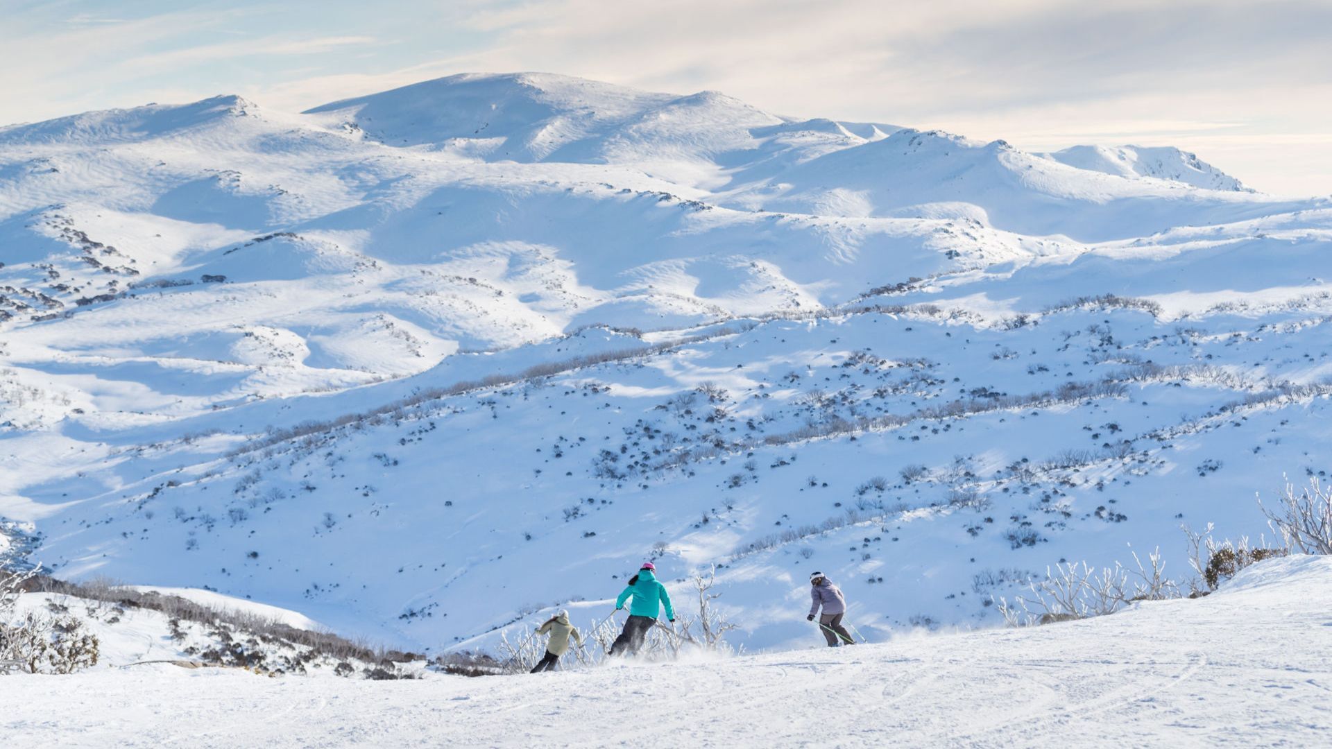 Snowy Studio - Super Central Location l WiFi — image 11