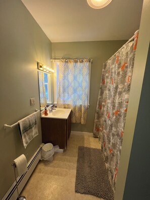 Une salle de bain équipée d’un lavabo, d’un miroir, d’un porte-serviettes, de toilettes et d’un rideau de douche.