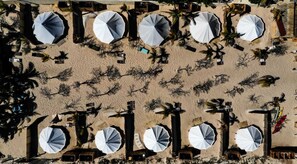 Property grounds - ChiloChill Glamping Resort (La Ventana)