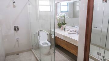 Un baño moderno con ducha envuelta en vidrio, inodoro, tocador con espejo y lavamanos.