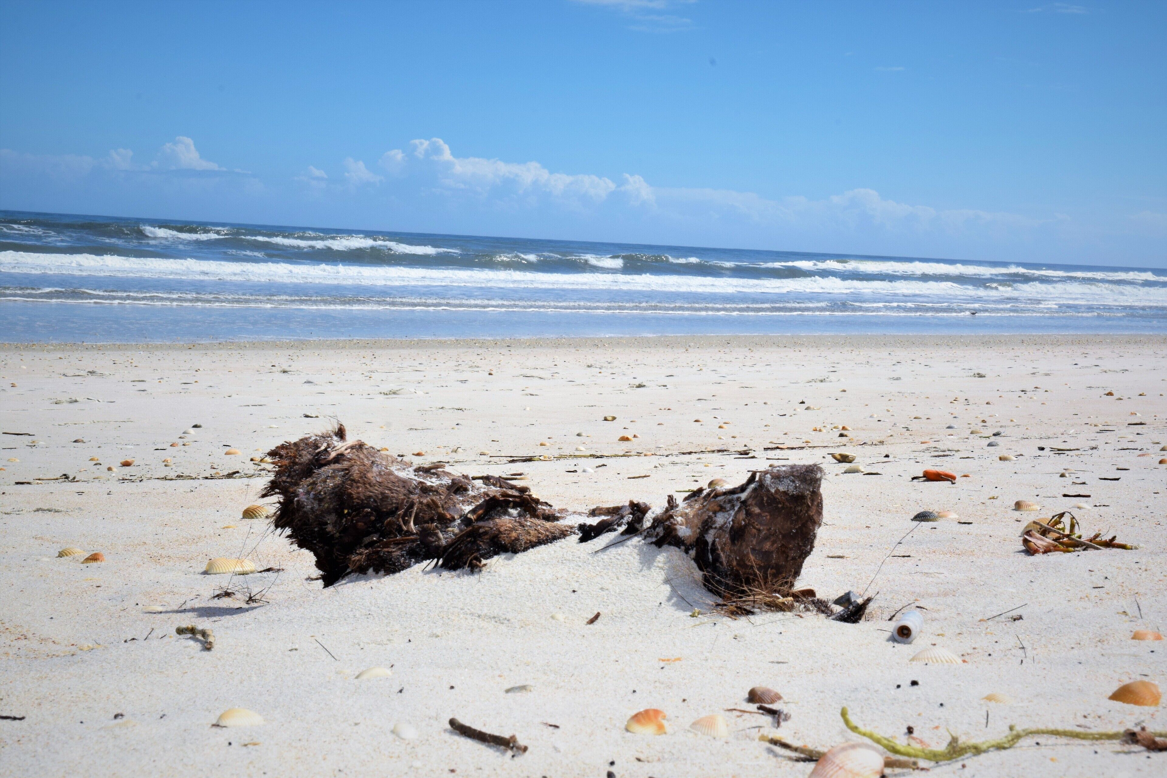 Beach nearby, sun-loungers