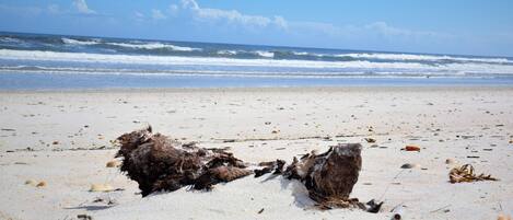 Vlak bij het strand, ligstoelen
