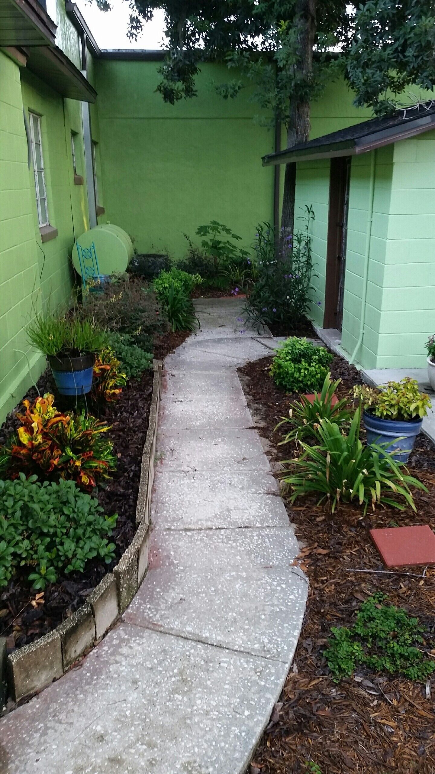 A narrow concrete pathway flanked by green walls and potted plants, leading to a building entrance.