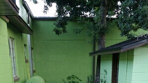 A narrow concrete pathway flanked by green walls and potted plants, leading to a building entrance.