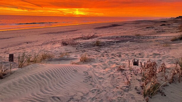 A beach with sand dunes and sparse vegetation. - HipNautical Oceanfront (Kitty Hawk)