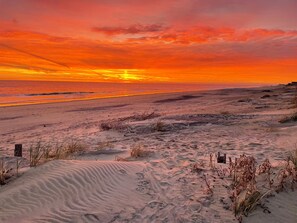A beach with sand dunes and sparse vegetation. - HipNautical Oceanfront (Kitty Hawk)