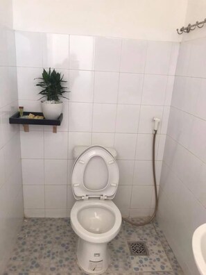 Shower, free toiletries, hair dryer, slippers