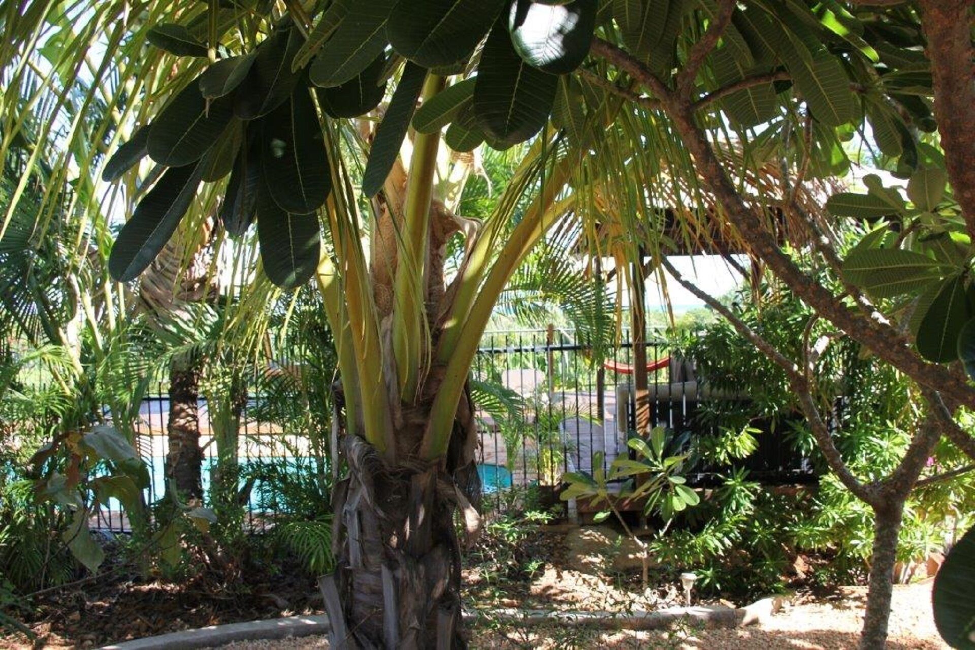 Coconutz - self contained eco tents with fantastic  ocean views — image 28