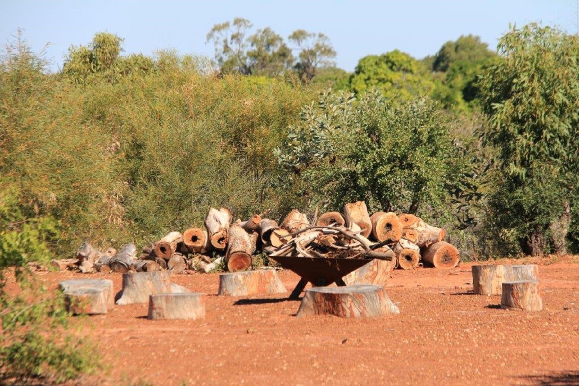 Coconutz - self contained eco tents with fantastic  ocean views — image 30