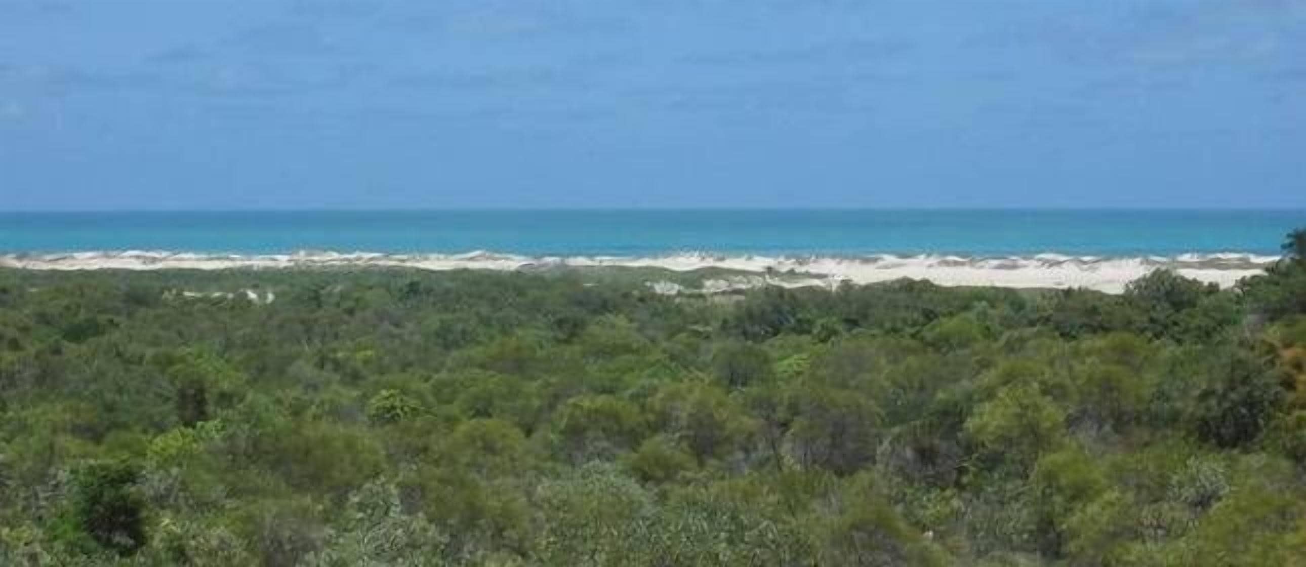 Coconutz - self contained eco tents with fantastic  ocean views — image 17