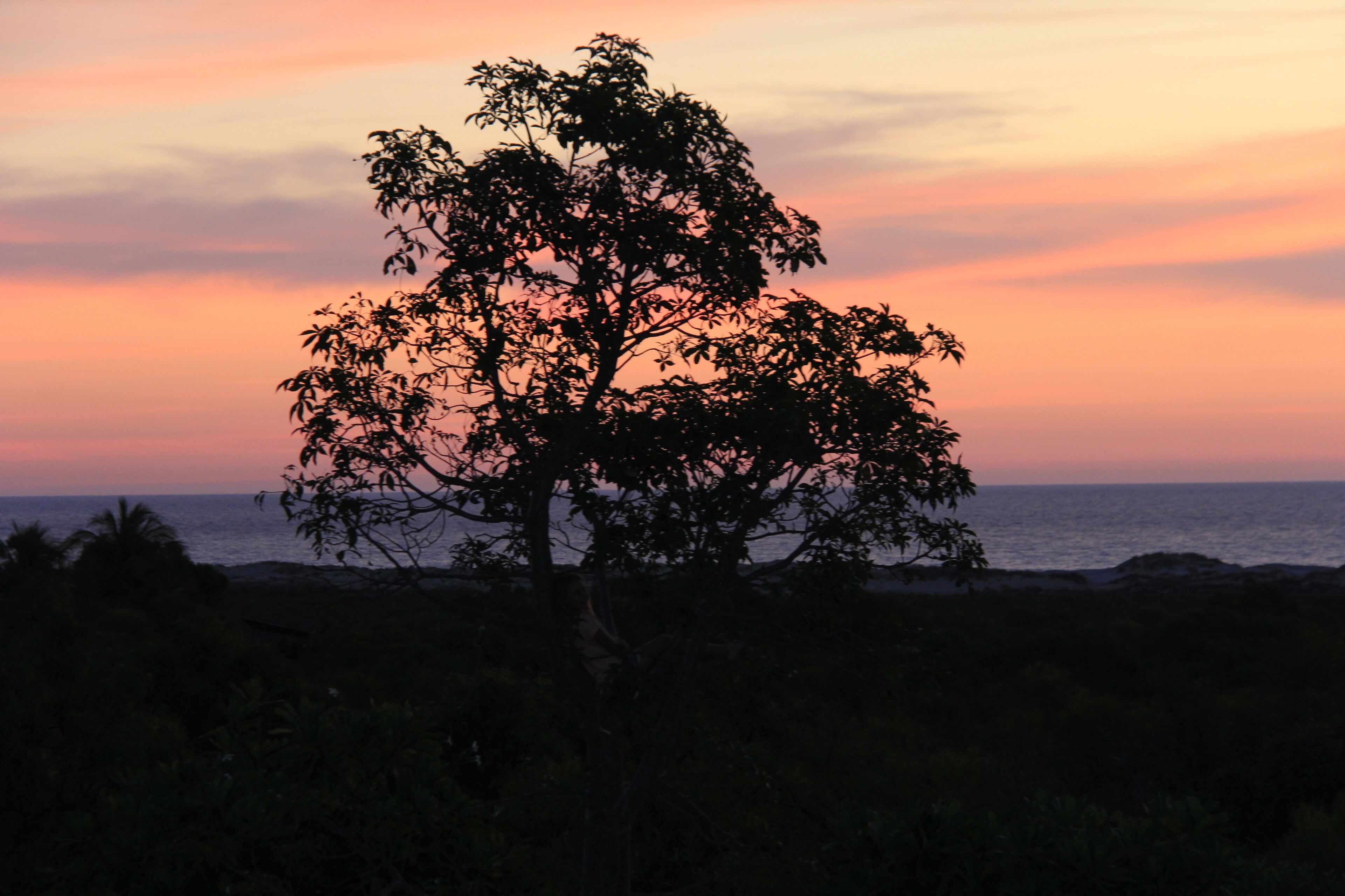 Coconutz - self contained eco tents with fantastic  ocean views — image 18