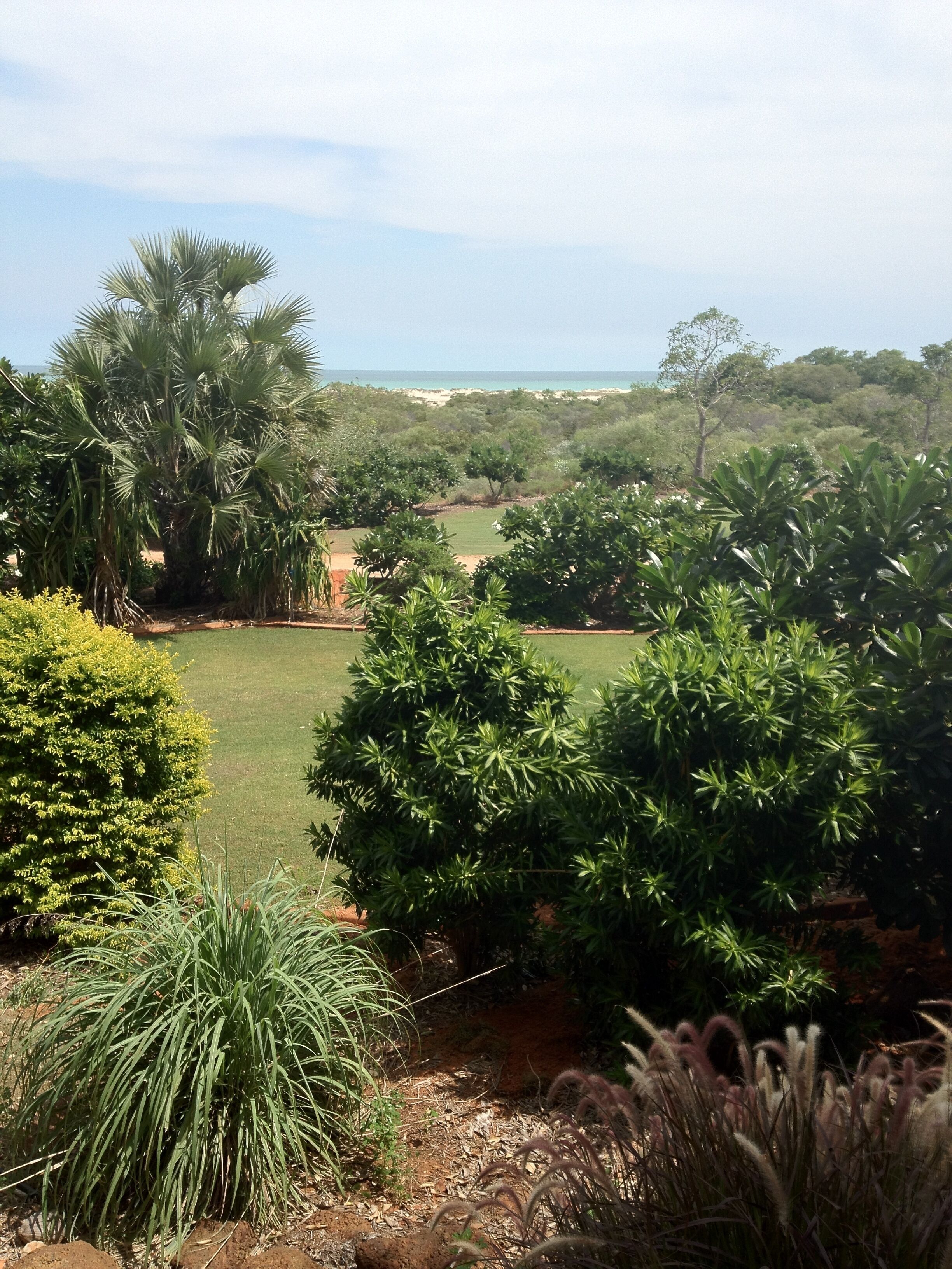 Coconutz - self contained eco tents with fantastic  ocean views — image 19