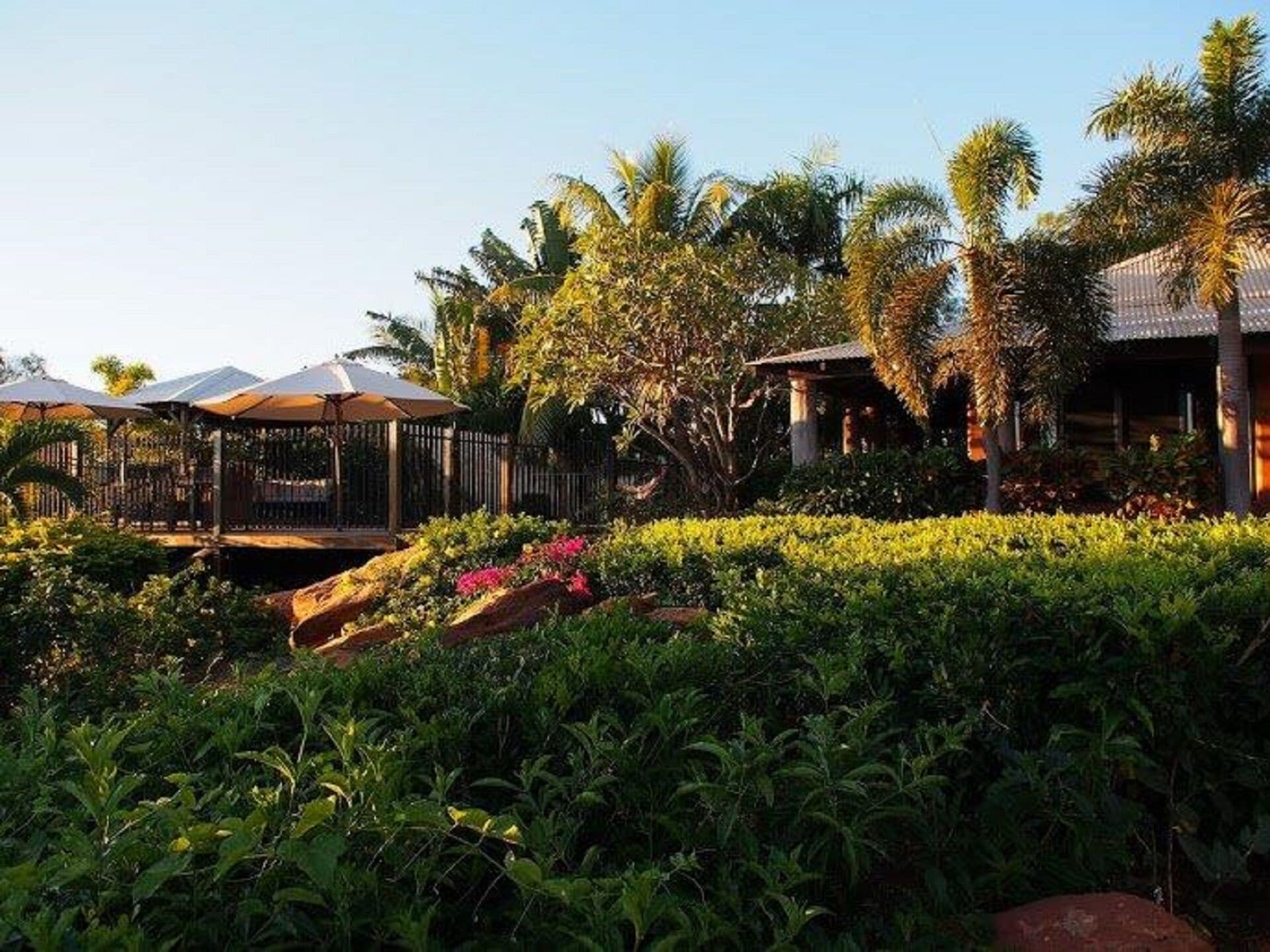 Coconutz - self contained eco tents with fantastic  ocean views — image 6