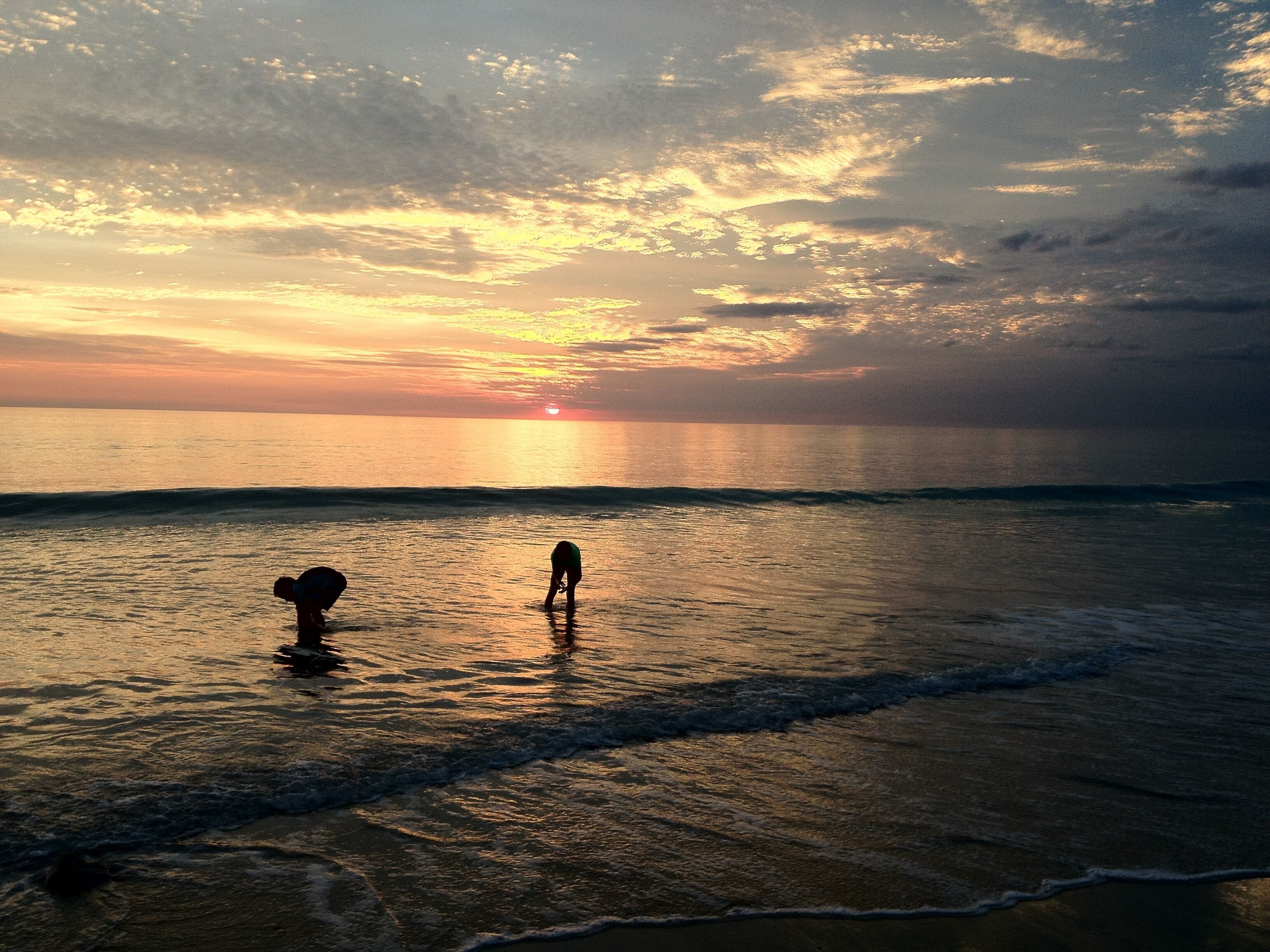 Coconutz - self contained eco tents with fantastic  ocean views — image 20