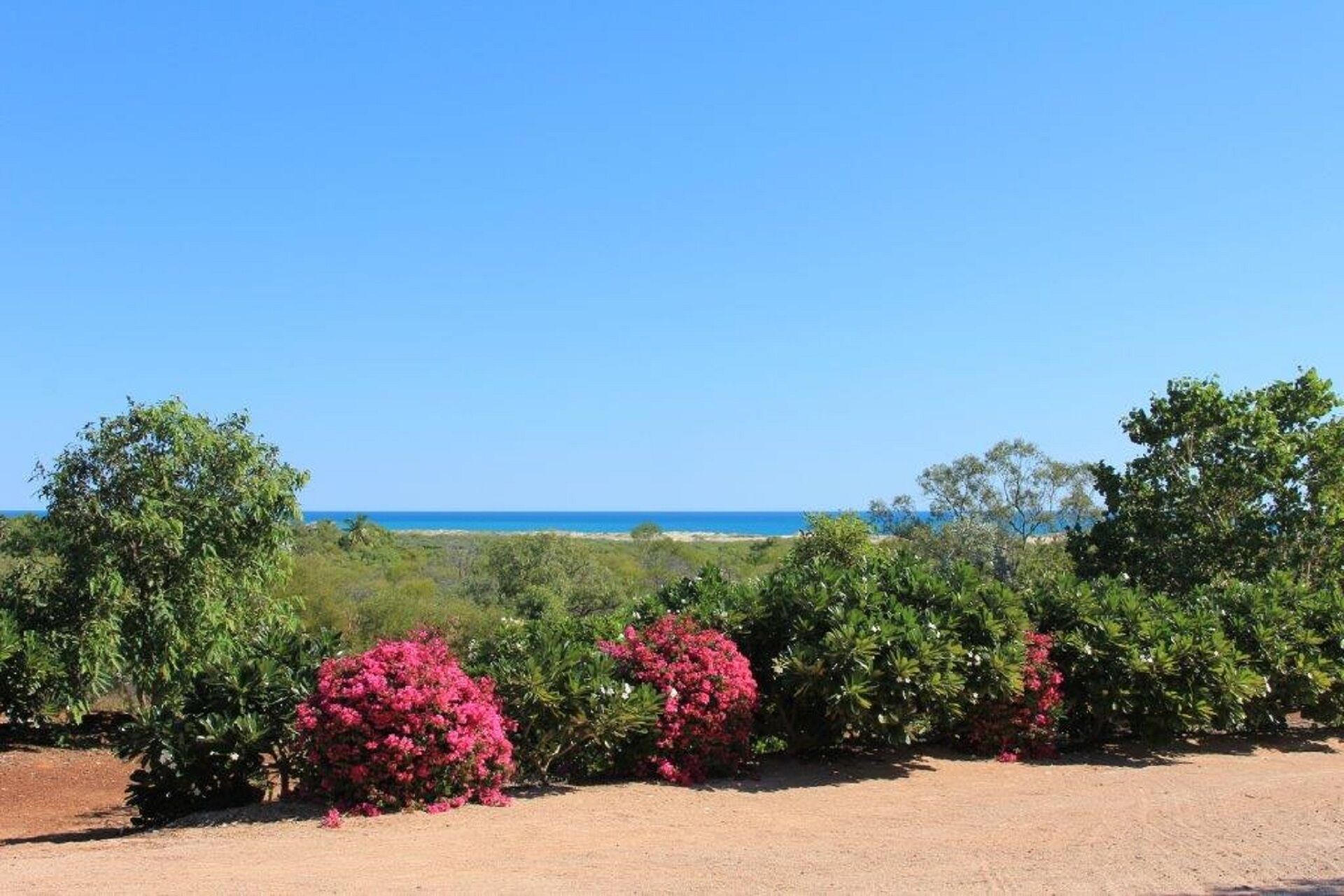 Coconutz - self contained eco tents with fantastic  ocean views — image 7