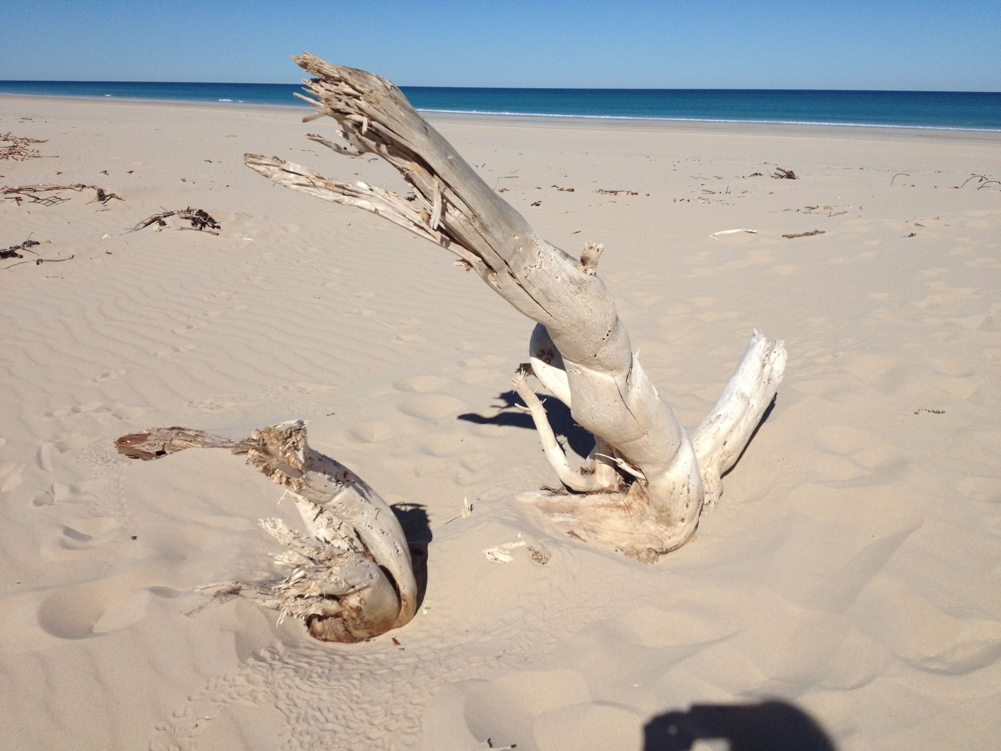 Coconutz - self contained eco tents with fantastic  ocean views — image 21