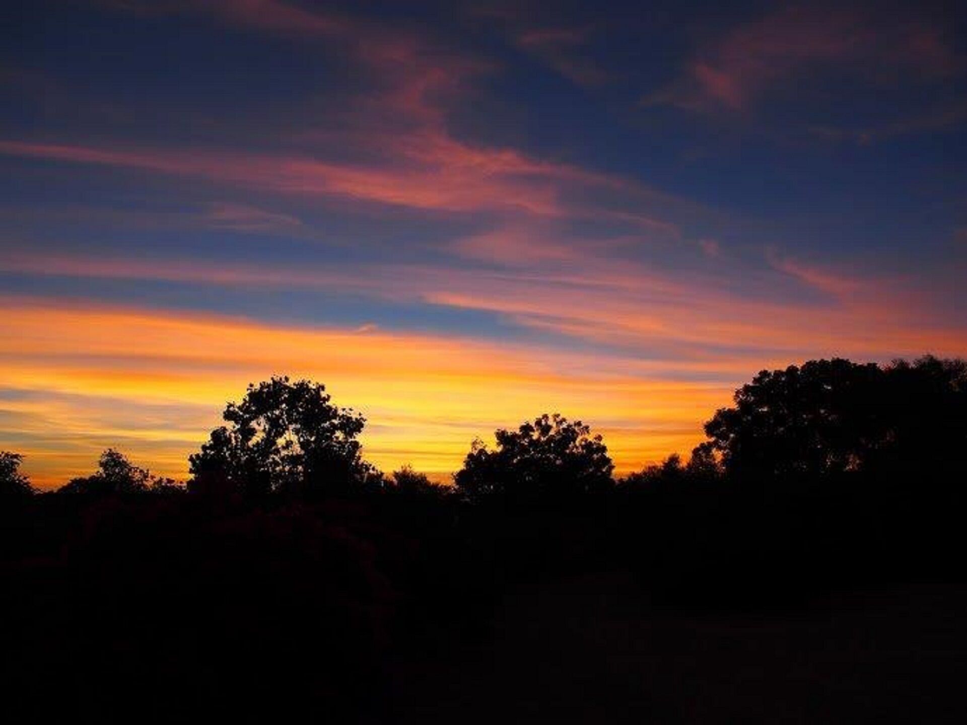 Coconutz - self contained eco tents with fantastic  ocean views — image 26