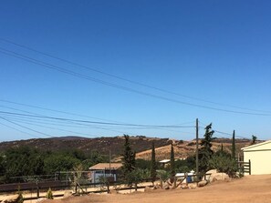 Standaard kamer, 1 queensize bed | Terras