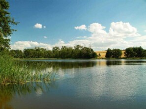 Unclassified image, 5 of 20, button