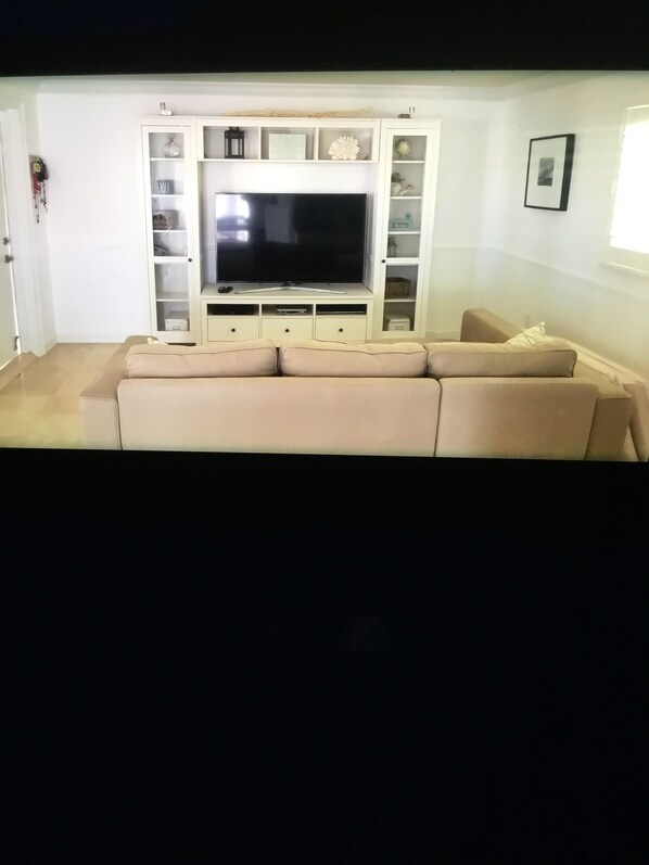 電視、DVD 播放機