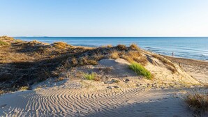 A sandy beach with dunes and a clear view of the sea.