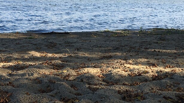A beach with sand and water.