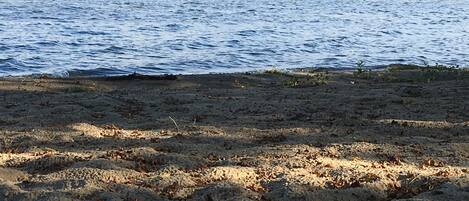 En la playa, sillas reclinables de playa